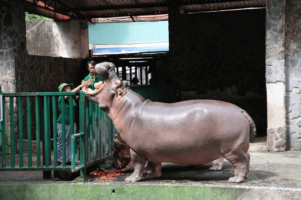 4. King’s Garden (Vin Wonders Nha Trang)